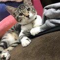 可愛がってくださる方