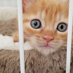 タラちゃんのその後