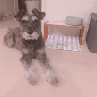 佐藤アル