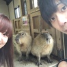 ぽんでん