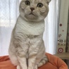 の写真