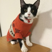 ナル