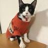 ナル
