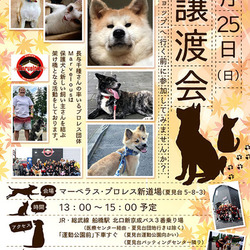 marvelous協賛譲渡会