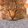 顎乗せマメ☆*:その2