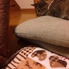 やっぱ1番この首飾りが しっくりくるー❥