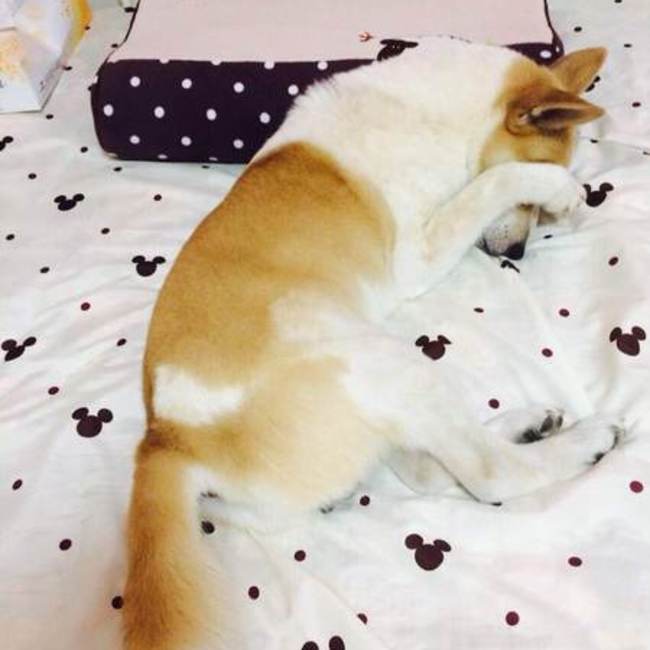 Emaaのカバー写真