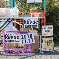 第16回Revue動物愛護day