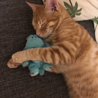 テテ