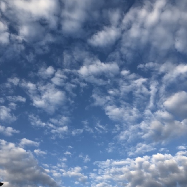 みい☆☆のカバー写真