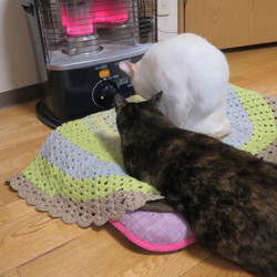 「伝統は続く・・・」サムネイル1