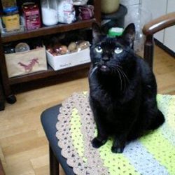 「伝統は続く・・・」サムネイル2