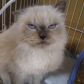 性格が良過ぎます！