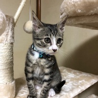 ヒカリ