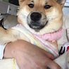 hsmthnkさん