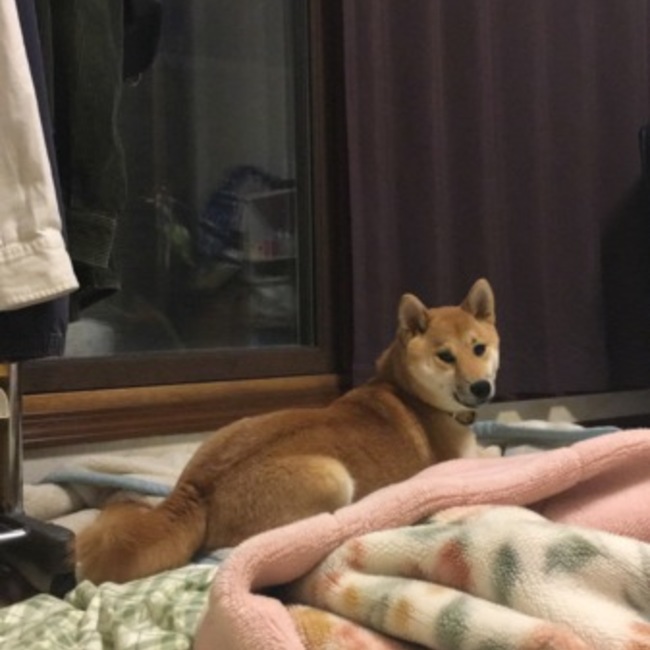 hsmthnkのカバー写真