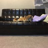 ソファの上でぐっすり