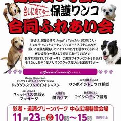道満祭り会場にて合同ふれあい会（譲渡会）開催！
