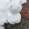 くろろ。