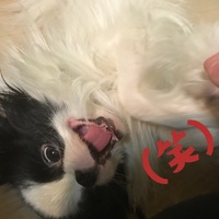 リキ