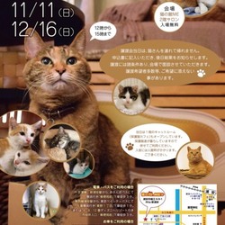 一般社団法人「Share Life」譲渡会