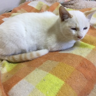 ベタベタ甘えっこの白松君です❤