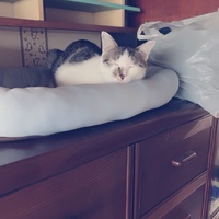 すず
