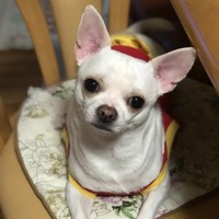 ラテ
