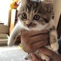 フワフワ・モフモフ☆かわいらしいネムちゃん