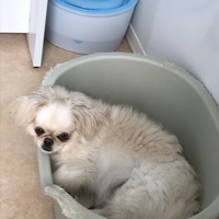 ベル