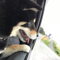 まる
