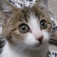 メイ
