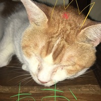 アオ