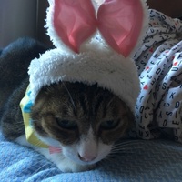 ひろし