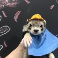 石橋ケンシロウ