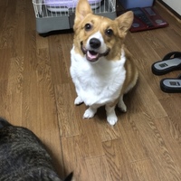 エリザベス