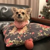 の写真