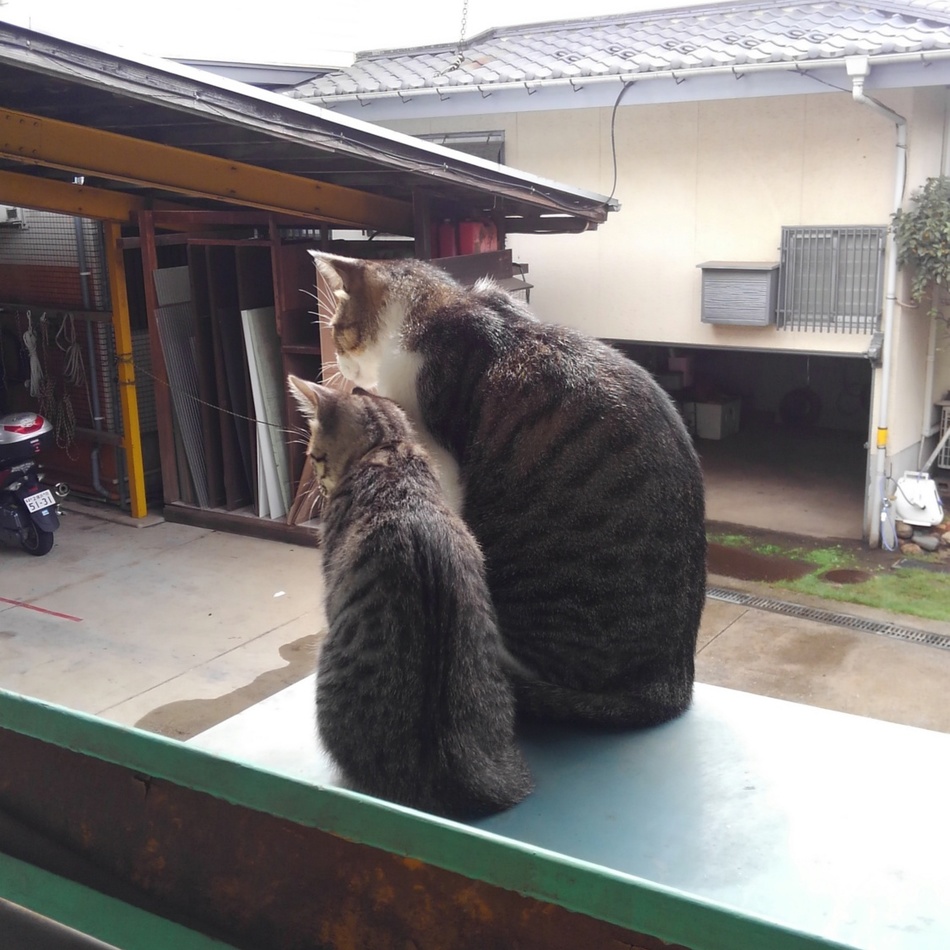 とこのカバー写真