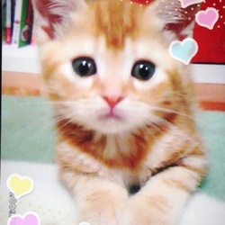 めい◡̈*♡.°⑅