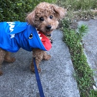 ルナ