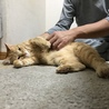 の写真