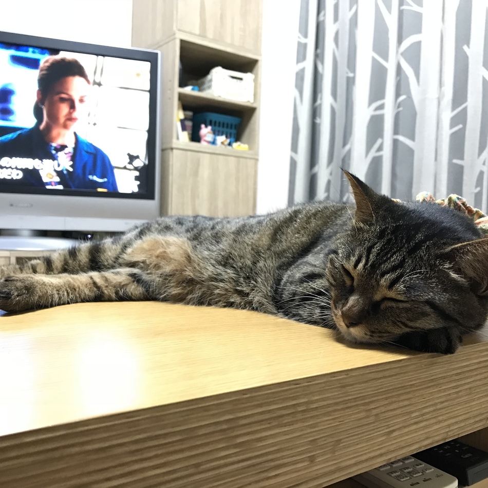 遠藤 ニィニャ・マウのカバー写真