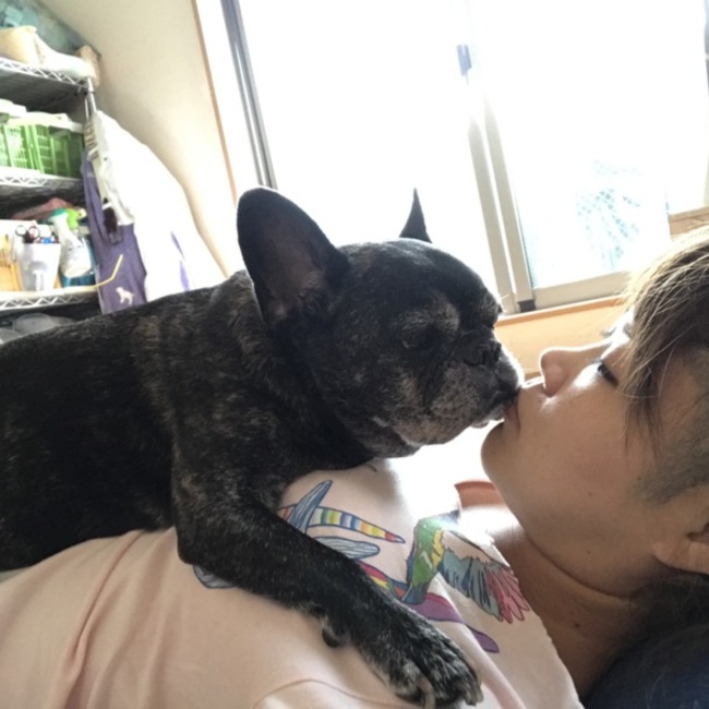 ありちゃん56のカバー写真