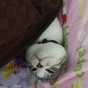 の写真