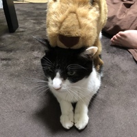 みーちゃん