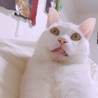 何に驚いてるの…