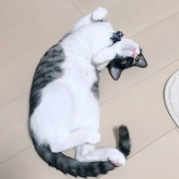 そら