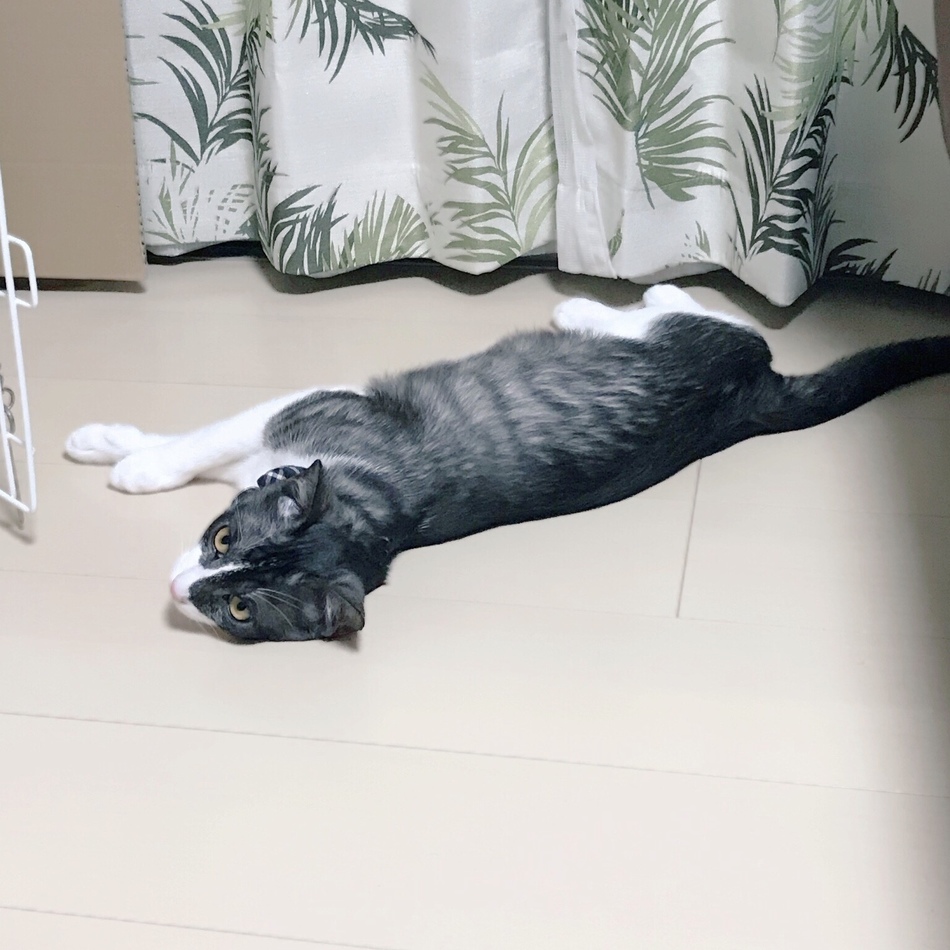 そらのカバー写真