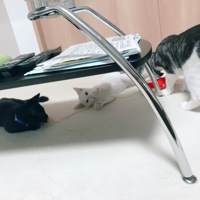 hrk714のカバー写真