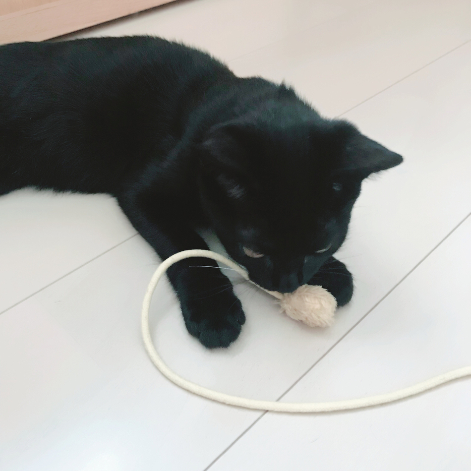 うみのカバー写真
